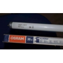 OSRAM L 36W/77 FLUORA T8 bitkiler ve akvaryumlar için